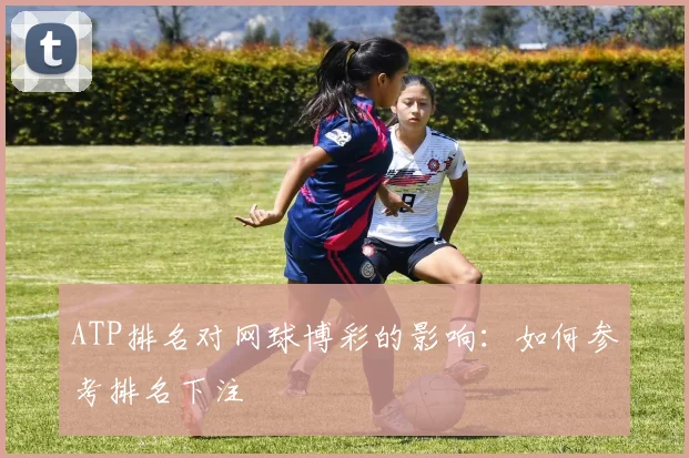 ATP排名对网球博彩的影响:如何参考排名下注
