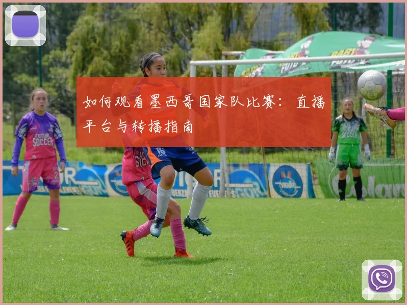 如何观看墨西哥国家队比赛：直播平台与转播指南