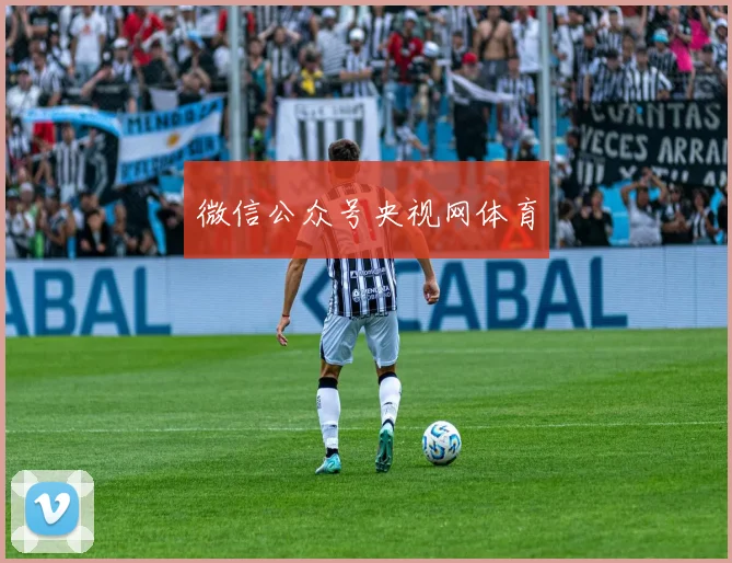 微信公众号央视网体育