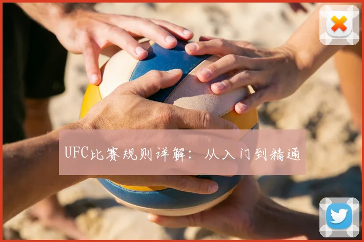 UFC比赛规则详解:从入门到精通