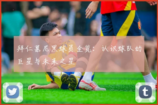 拜仁慕尼黑球员全览：认识球队的巨星与未来之星