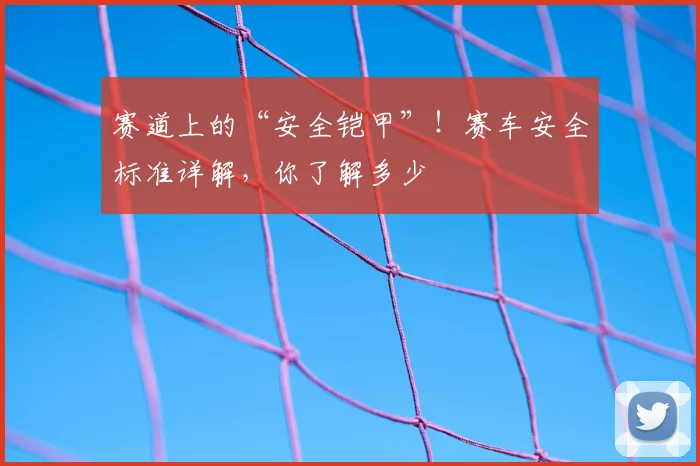赛道上的“安全铠甲”！赛车安全标准详解，你了解多少