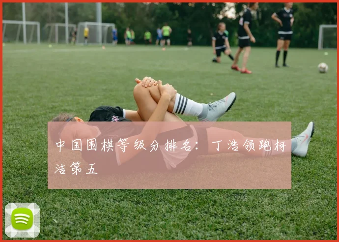 中国围棋等级分排名：丁浩领跑柯洁第五