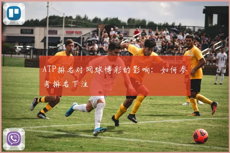 ATP排名对网球博彩的影响:如何参考排名下注